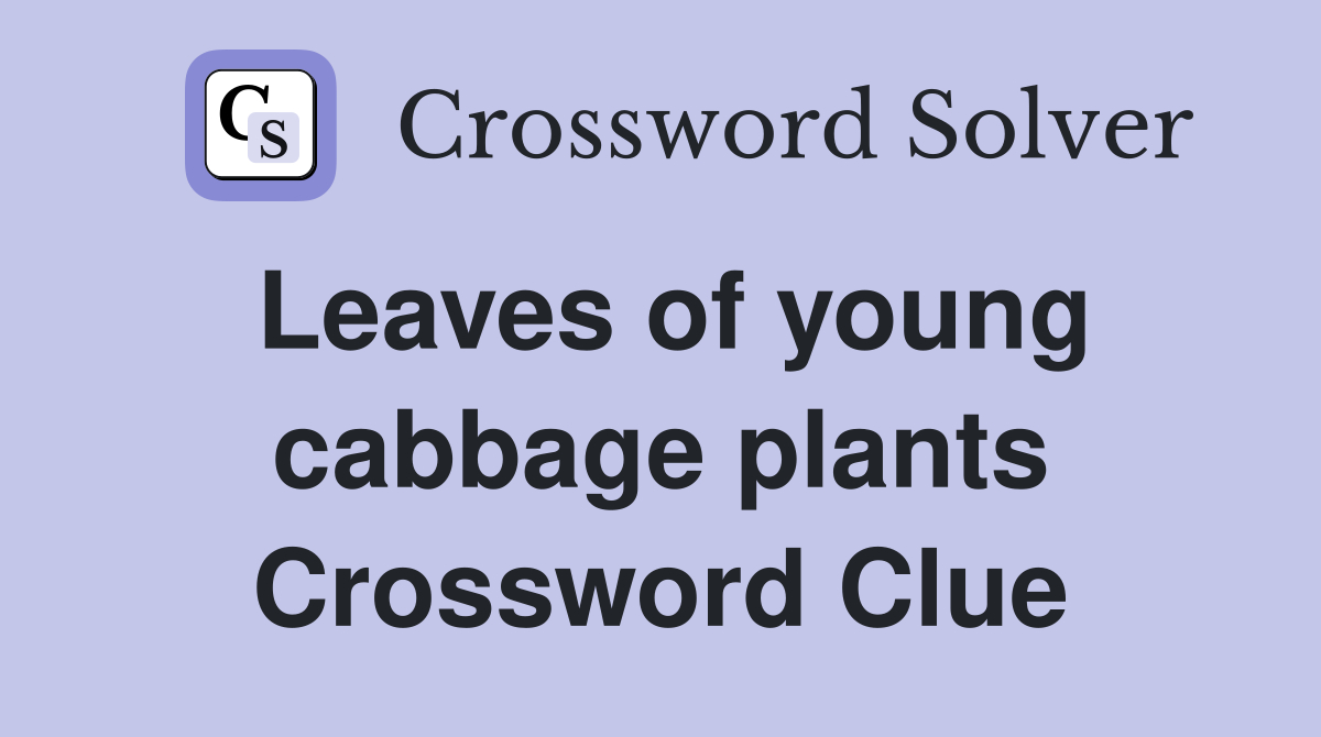 Leaves of young cabbage plants crossword clue answers crossword solver